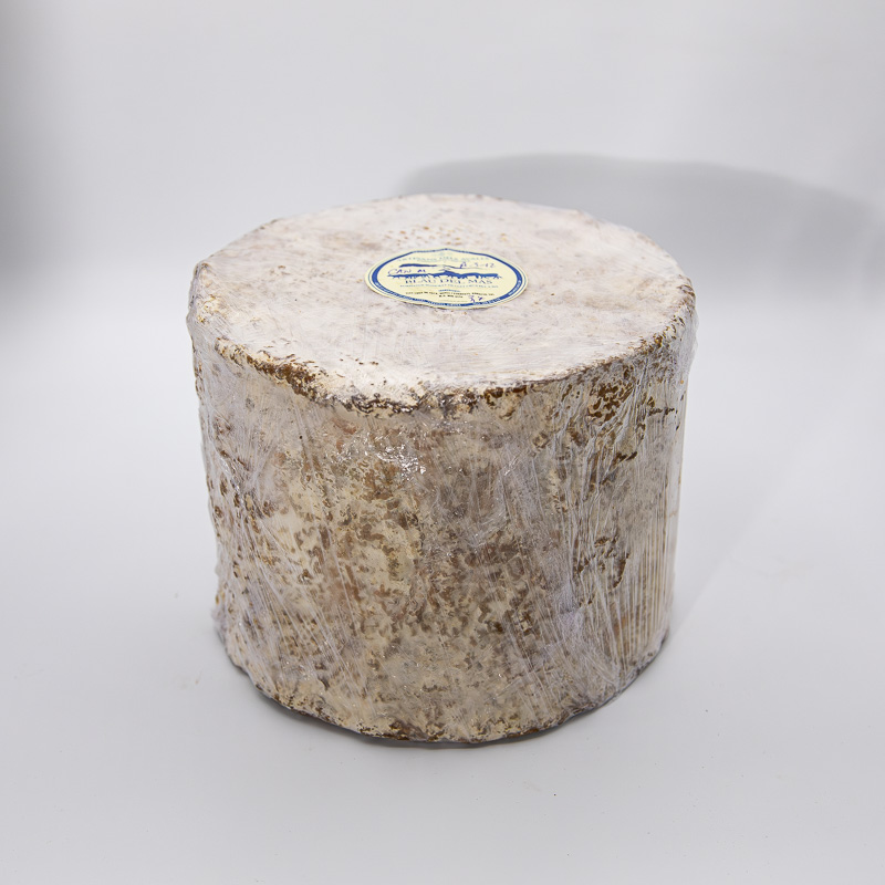 Blue Cow’s Cheese - Image 2