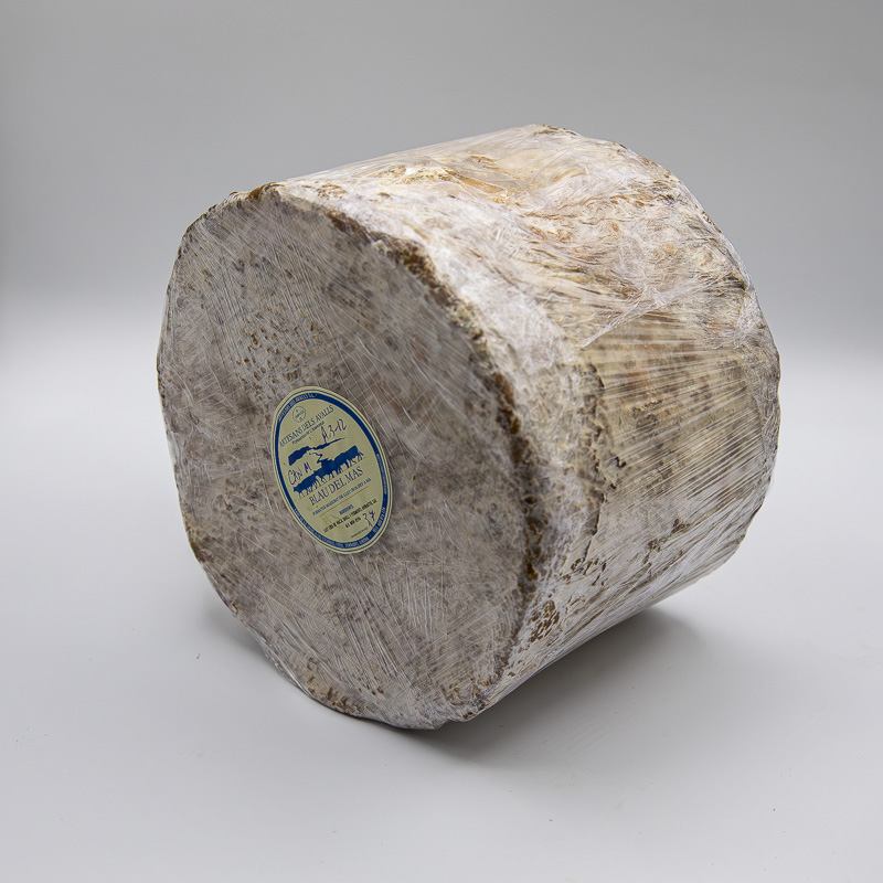 Blue Cow’s Cheese - Image 3